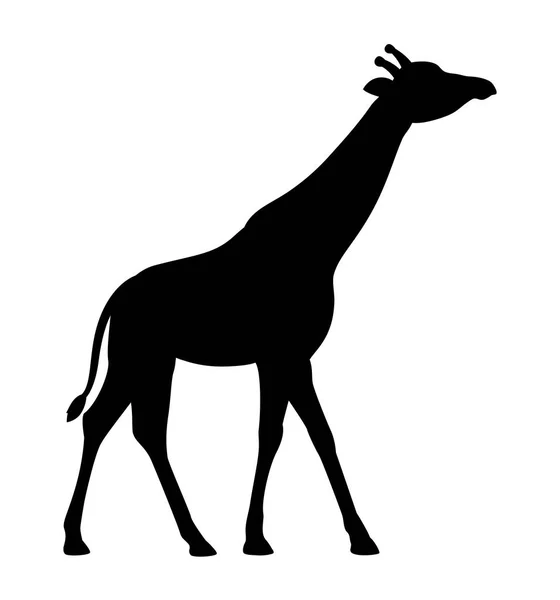 Silhouet giraffe pictogram geïsoleerde witte achtergrond kant weergave profiel vector — Stockvector