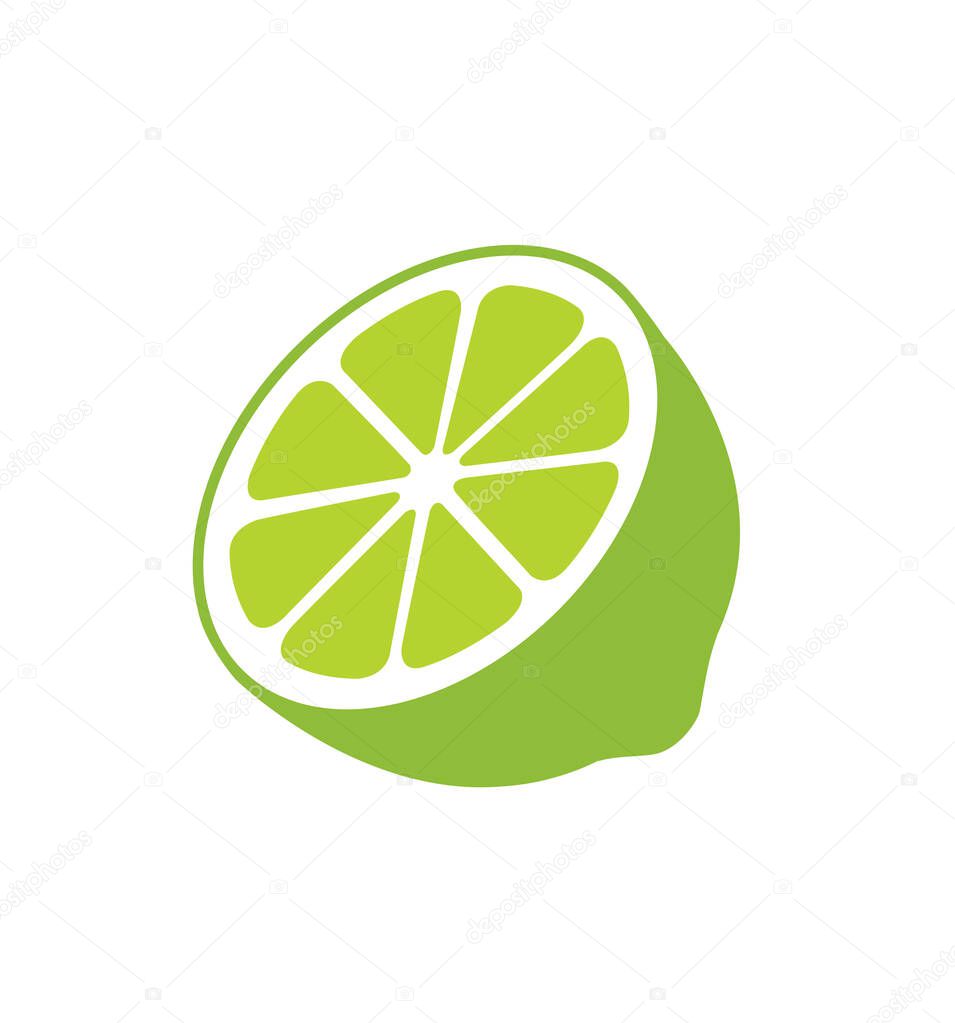 Lime icon citruses isolated on white background vector illustration