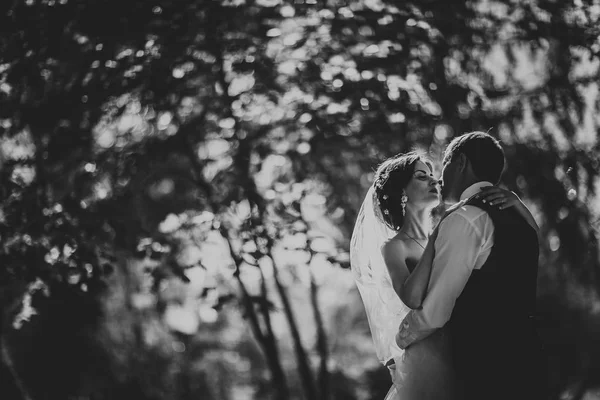 Bruden Och Brudgummen Bakgrunden Parken — Stockfoto