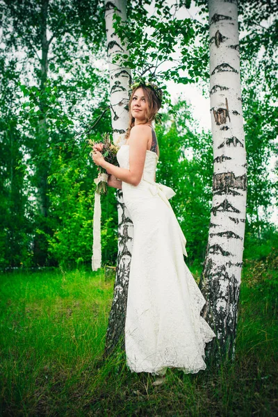 Young Bride Birches Forest — Stock Photo, Image