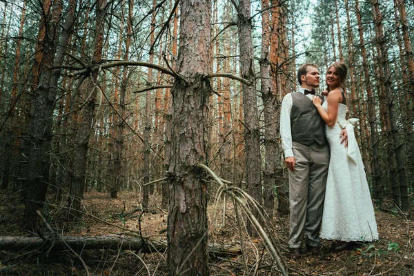 Nevěsta Ženich Lese Jedlí — Stock fotografie