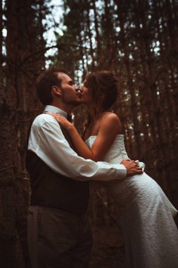 Gelin ve damat firs ormanında.