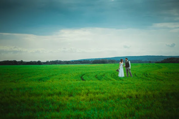 Bride Groom Stand Background Field — Stock Photo, Image