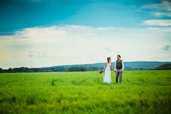 Bride Groom Stand Background Field — Stock Photo, Image