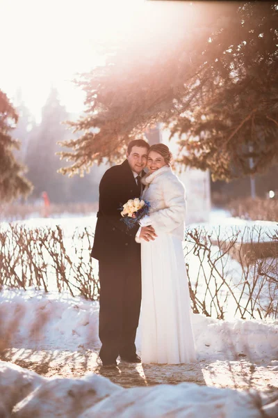 Invierno Brillante Boda Novia Novio Pareja — Foto de Stock