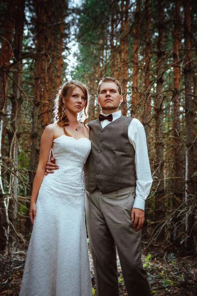Νύφη Και Γαμπρός Μέσα Στο Δάσος Από Έλατα — Φωτογραφία Αρχείου