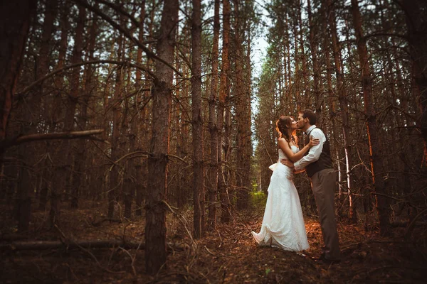 Nevěsta Ženich Lese Jedlí — Stock fotografie