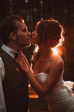 Gelin ve damat firs ormanında.