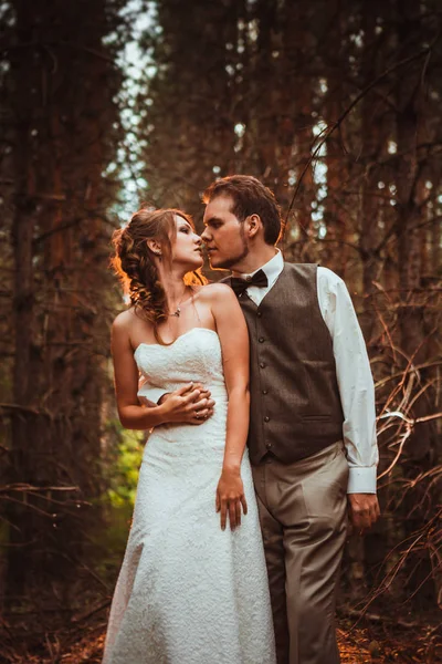 Sposo Nella Foresta Abeti — Foto Stock
