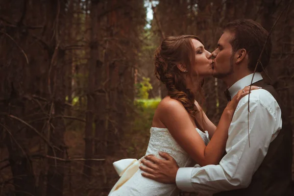 Bride Groom Forest Firs — Stock Photo, Image