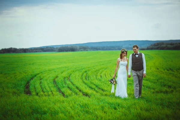 Braut Und Bräutigam Stehen Hintergrund Des Feldes — Stockfoto