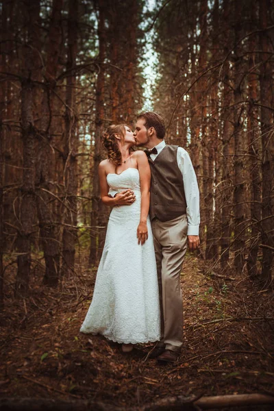 Mariés Dans Forêt Sapins — Photo