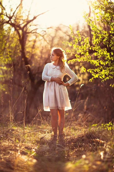 美丽的女孩站在田野上日落背景 — 图库照片