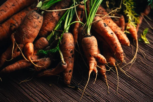 Fresh carrots from the garden close-up on a wooden background.