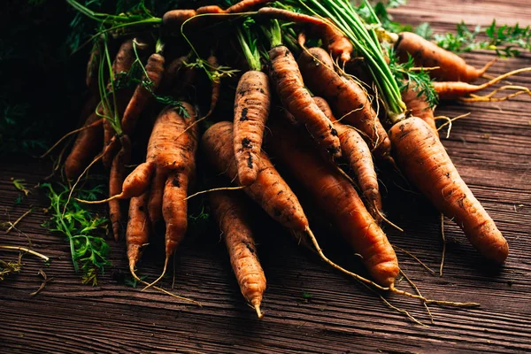 Fresh carrots from the garden close-up on a wooden background.