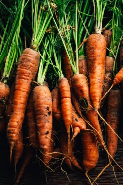 Ahşap arka plan üzerinde taze havuç yakın çekim.