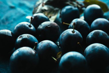 mavi arka plan üzerinde birçok taze erik yakın çekim.