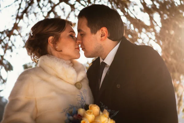 Gli Amanti Sposa Sposo Sul Loro Matrimonio Invernale — Foto Stock