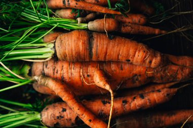 Ahşap arka plan üzerinde taze havuç yakın çekim.
