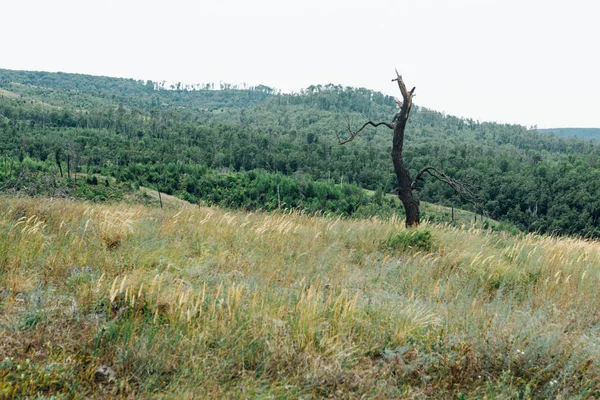 Paisagem Montanhas Grama Contra Céu — Fotografia de Stock