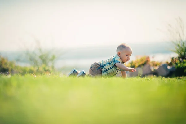 Bambino Ragazzo Verde Erba Natura Sfondo — Foto Stock