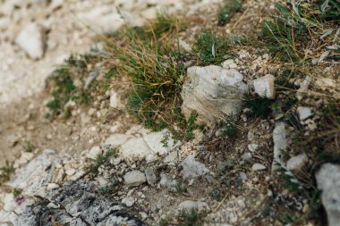karanlık detaylı gri taş arka plan yakın çekim.