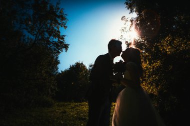 gökyüzü park arka plan üzerine gelin ve damat siluetleri.