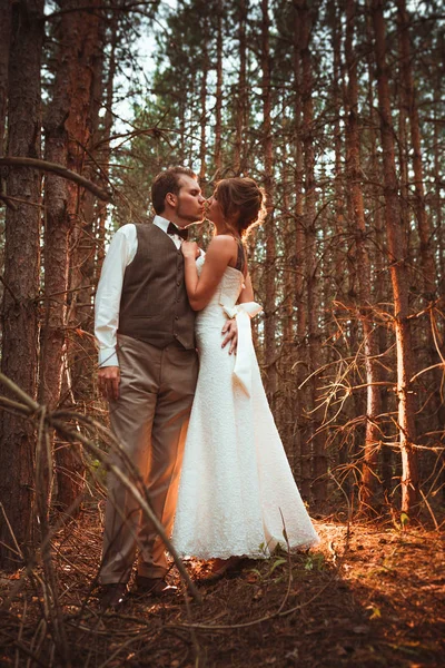 Mariés Dans Forêt Sapins — Photo