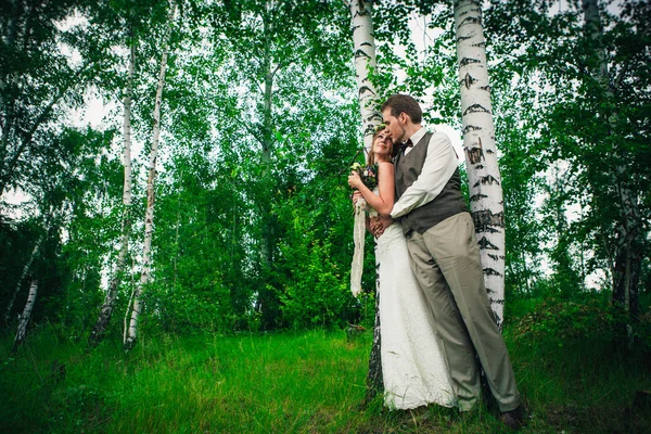 Genç gelin ve damat provence tarzında.
