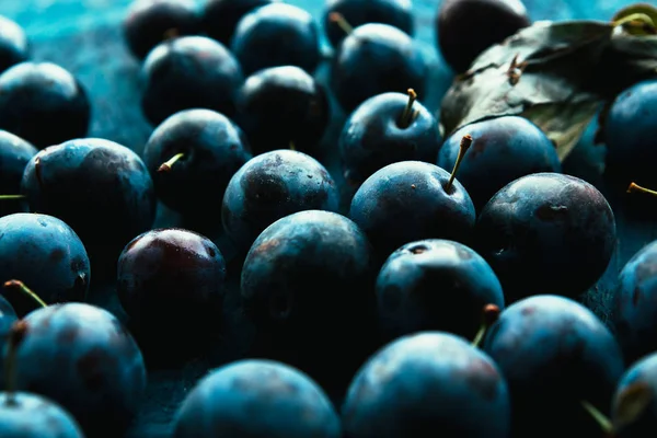 Muitas Ameixas Frescas Fundo Azul Fechar — Fotografia de Stock