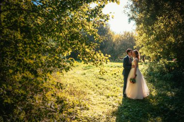 Gelin ve damat arka plan yaz ormanda.