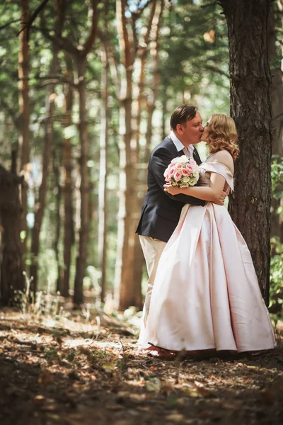 bride and groom kiss on the background of trees and forest.