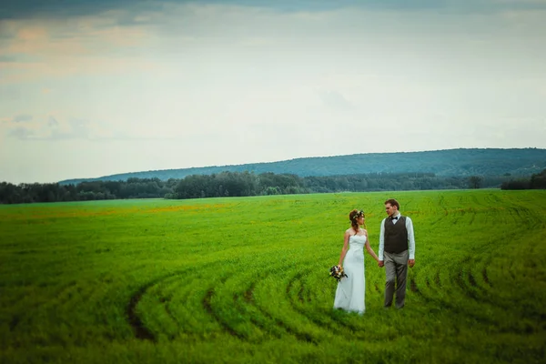 新郎新娘站在田野的背景上 — 图库照片