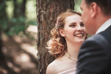 Gelin ve damat, ağaç ve orman güneş zemin üzerine.