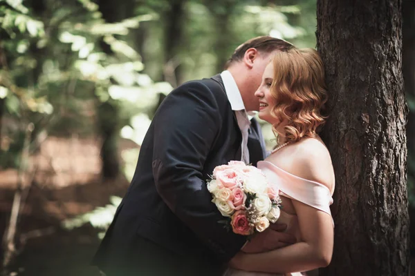 Sposa Sposo Sullo Sfondo Alberi Sole Della Foresta — Foto Stock