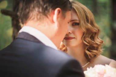 Gelin ve damat ağaçları ve orman arka plan üzerinde öp.