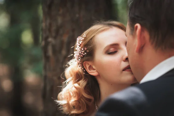 Braut Und Bräutigam Vor Dem Hintergrund Von Bäumen Und Waldsonne — Stockfoto