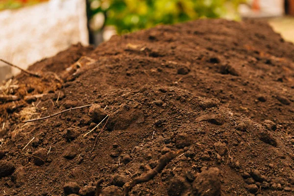 dark background fertile soil close up