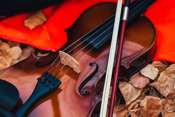 Violin Closeup Red Plaid Forest — Stock Photo, Image