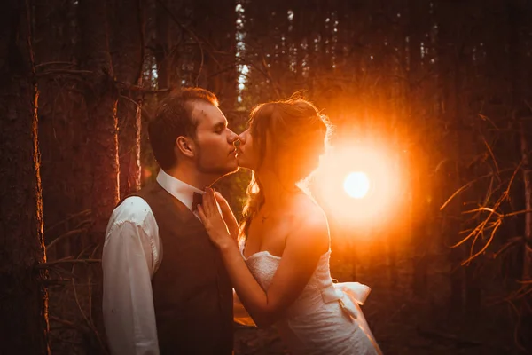 Gelin ve damat firs ormanında.