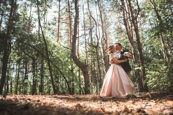 Braut Und Bräutigam Vor Dem Hintergrund Von Bäumen Und Wäldern — Stockfoto