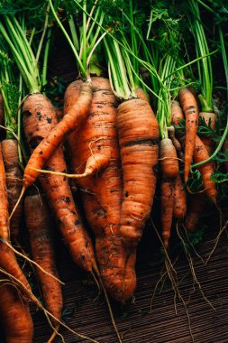Ahşap arka plan üzerinde taze havuç yakın çekim.