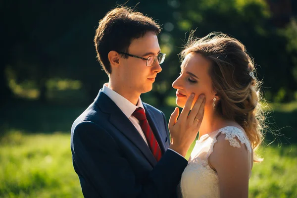 Novia Novio Abrazando Fondo Naturaleza — Foto de Stock