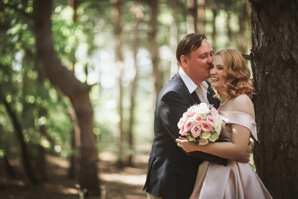 Noiva Noivo Beijo Fundo Das Árvores Floresta — Fotografia de Stock