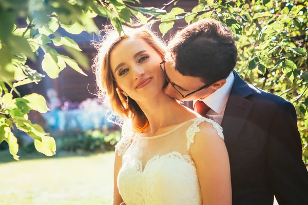 Braut Und Bräutigam Hintergrund Sommerwald — Stockfoto