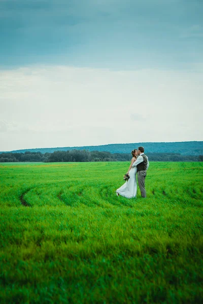 Sposa Sposo Stare Sullo Sfondo Del Campo — Foto Stock