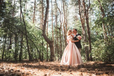 Gelin ve damat ağaçlar ve tam büyüme ormanda arka plan üzerinde.