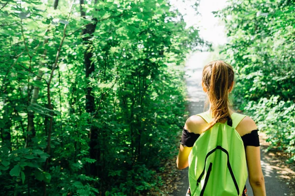 Grüne Bäume Wald Sonnenlicht — Stockfoto