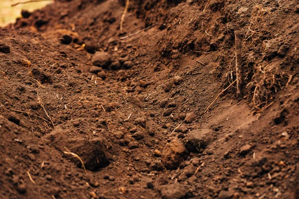 Fondo Scuro Terreno Fertile Vicino — Foto Stock