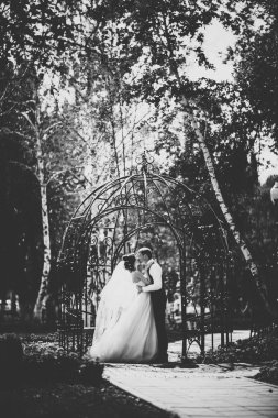 Parkta yürüyen güzel esmer gelin.